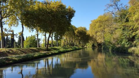 Canal du midi, Carcassonne, Aude