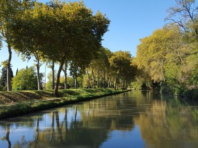 Canal du midi, Carcassonne, Aude