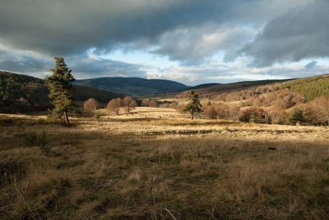 paysage de lozère